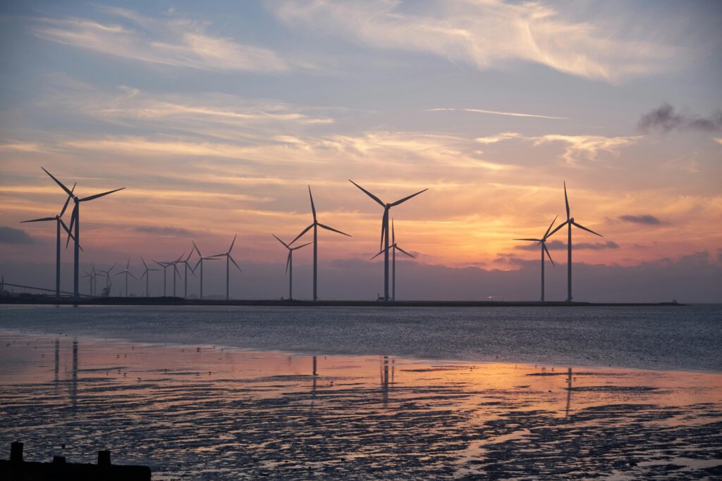 Federal Government to launch a Renewable Energy University